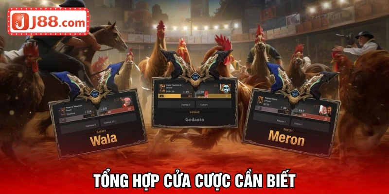 Các cửa cược phổ thông cần biết