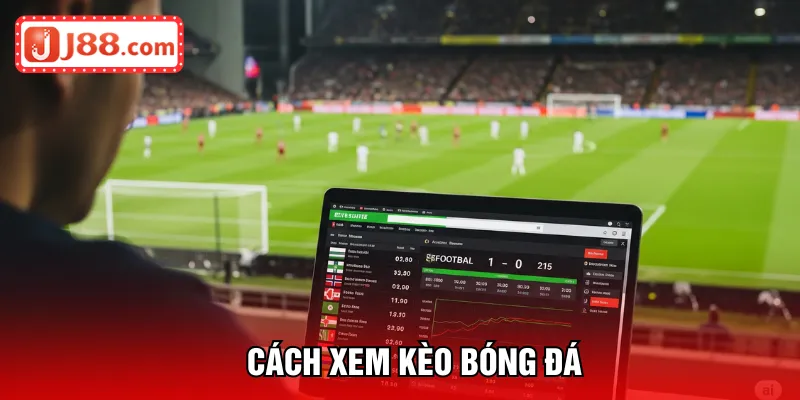 cách xem kèo bóng đá