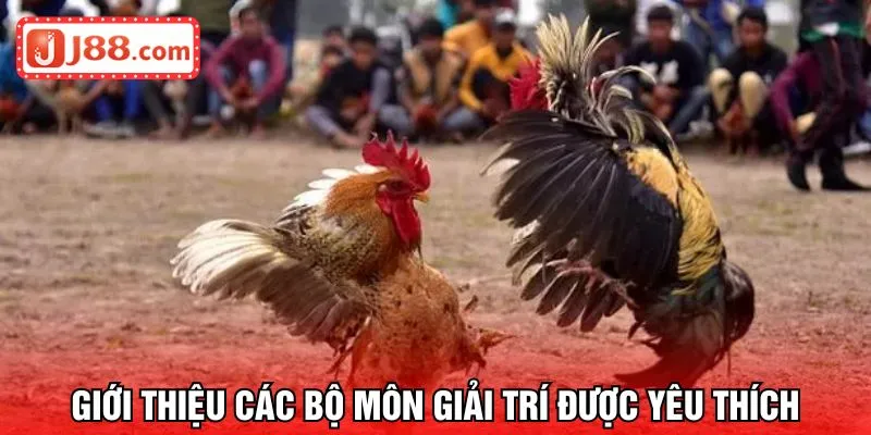 Giới thiệu các bộ môn giải trí được yêu thích tại sảnh