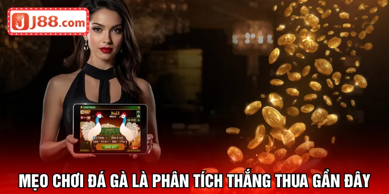 Mẹo chơi đá gà là phân tích thắng thua gần đây