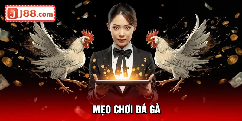 mẹo chơi đá gà