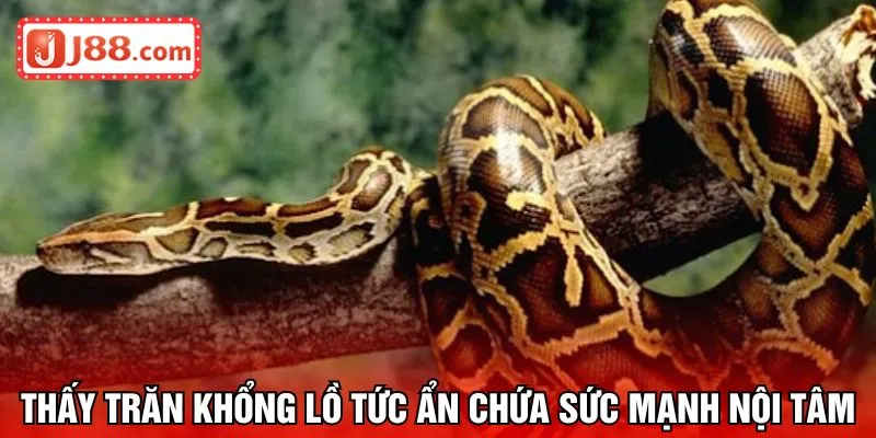 Thấy trăn khổng lồ tức ẩn chứa sức mạnh nội tâm