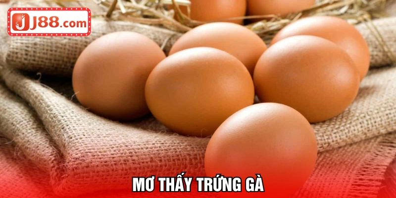 mơ thấy trứng gà
