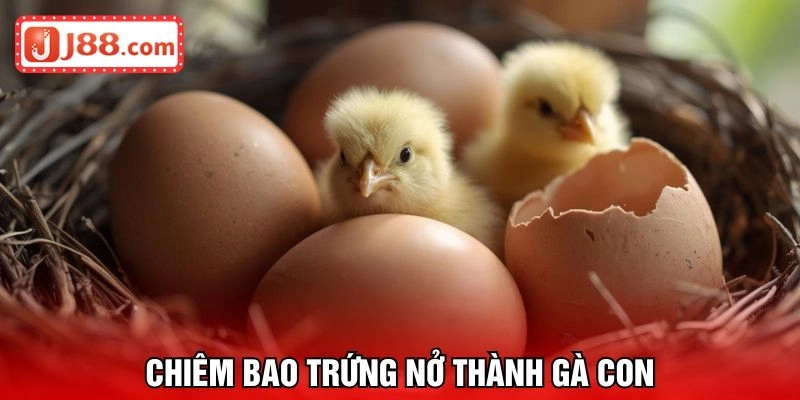 Mơ thấy trứng gà nở thành con nhỏ