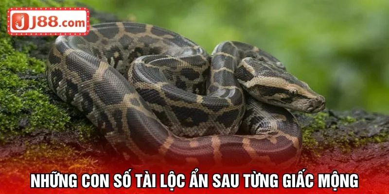 Những con số tài lộc ẩn sau từng giấc mộng