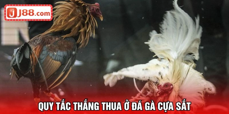 Quy tắc thắng thua ở sân chơi đá gà