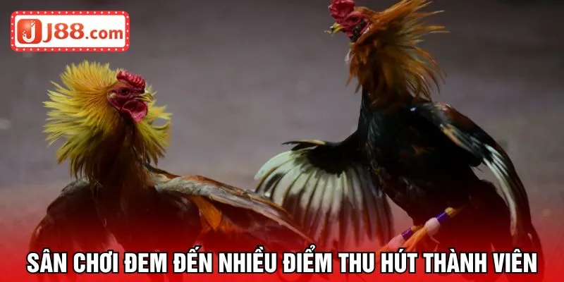 Sân chơi đem đến nhiều điểm nổi bật thu hút thành viên