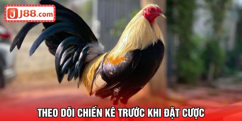 Theo dõi chiến binh trước khi đầu tư