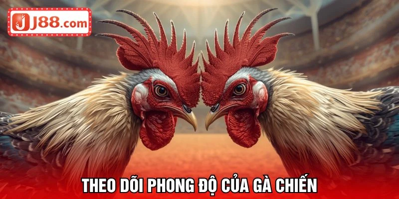 Theo dõi phong độ của chiến kê