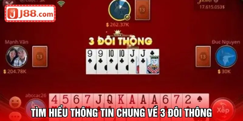 Tìm hiểu thông tin chung về 3 đôi thông